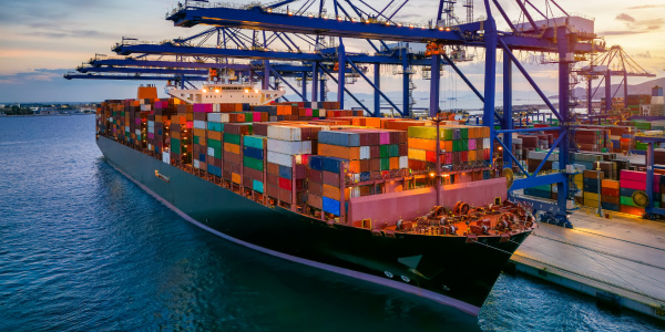 RR-August24-News 1 Image