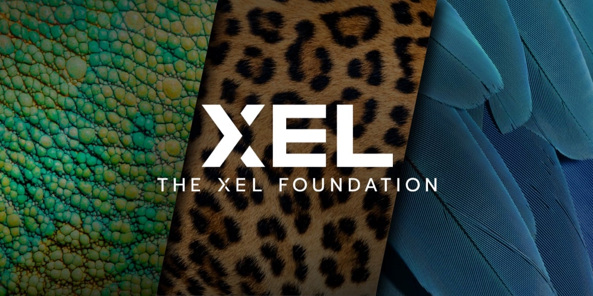 RR-Mar23-News2 Image