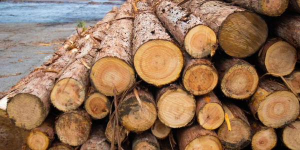 RR-Oct24-Company News 1 - Image